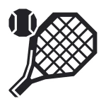 Товарищеский матч