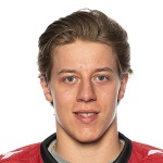Симон Гнип