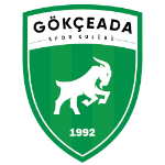 Гёкчеадаспор