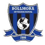Боллмора Интер ИКФ