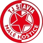 ТЯ Славия Мале-Гоштице