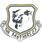 Зе Пантер