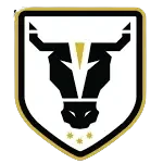 Буллз ФК Академи U23