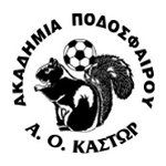 АО Кастор