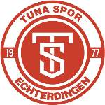 ТС Эхтердинген 1977