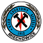 Силезия II Меховице