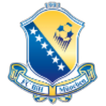 ФК Босния и Герцеговина Мюнхен