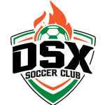 DSX 2013B