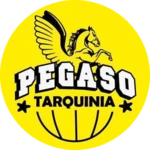 Basket Pegaso