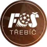 Тршебич