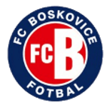ФК Босковице