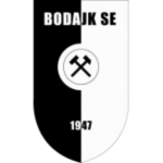 Бодайк СЕ
