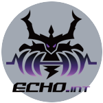 Echo International Team