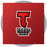 TORUS GAMING