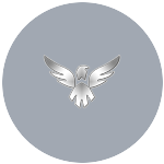 Wings Gaming