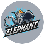 Elephant 4AM