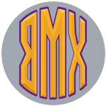 Team BearMax