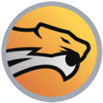 Wild Esports