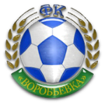 ФК Воробьёвка