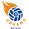 Динамо-Янтарь Калининград